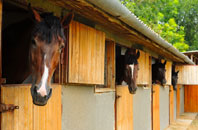 free Frittiscombe stable construction quotes